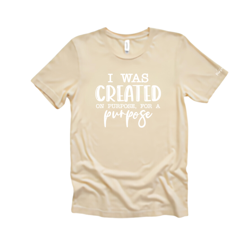 I Was Created On Purpose, For A Purpose Soft Cream